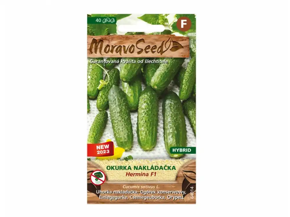Pouze Dnes Okurka nakládačka hruboostná Hermina - Moravoseed