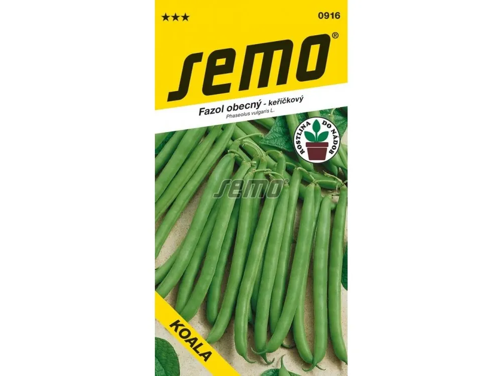 Nejprodávanější Fazol keř. zelený - Koala 7g - série DO NÁDOB