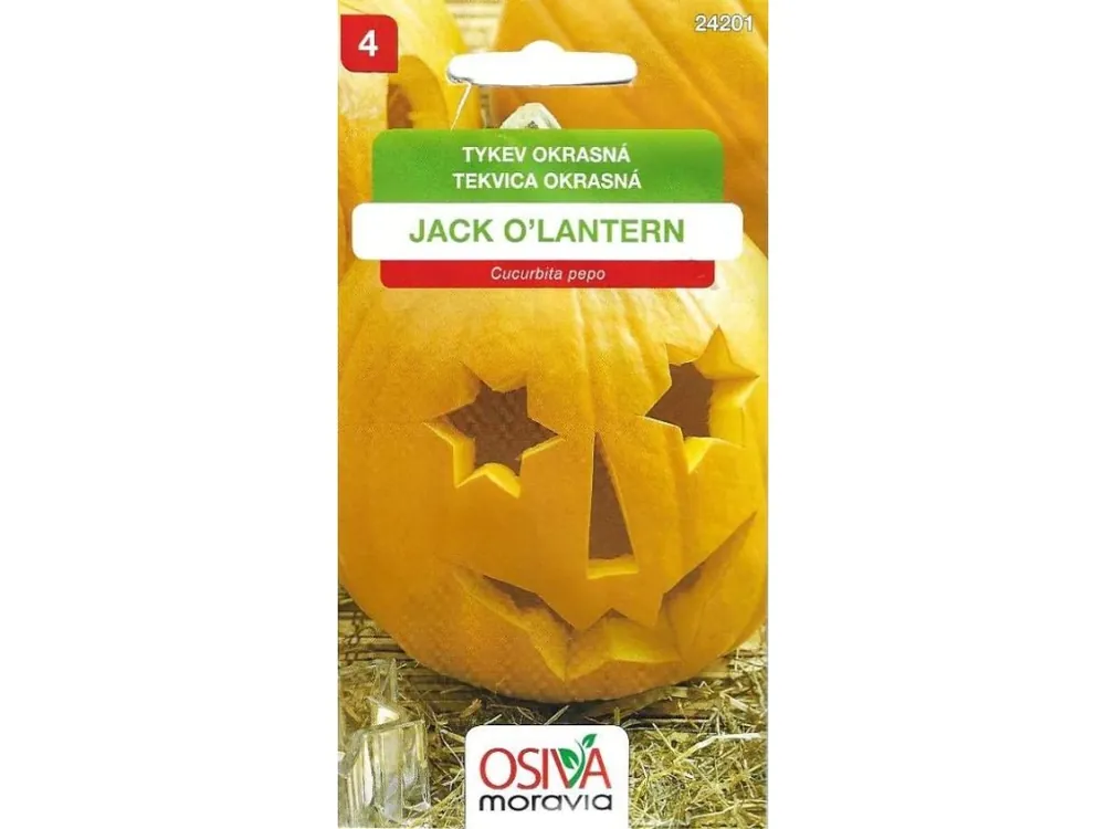 Okrasné tykvičky Jack O´Lantern_10 s OSIVA MORAVIA Omezená Nabídka