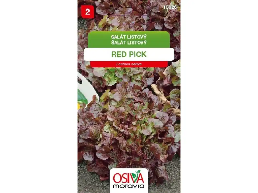 Salát listový červený REDPICK_0,3 g OSIVA MORAVIA Oblíbený