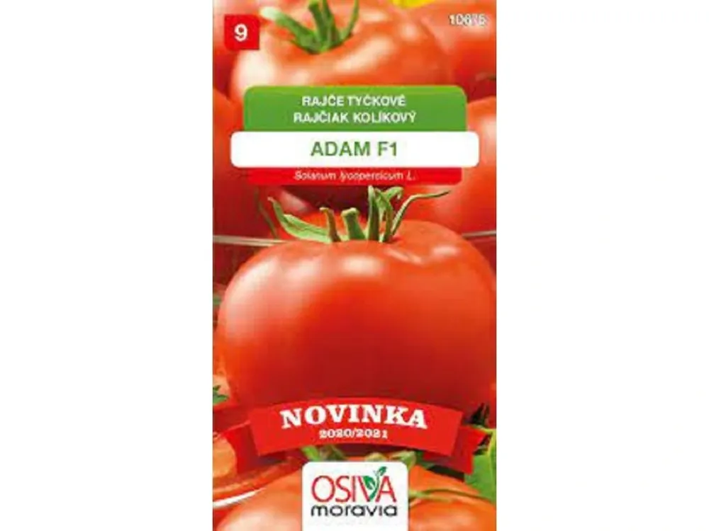 Originální Rajče tyč. ADAM F1_0,15 g - OSIVA MORAVIA