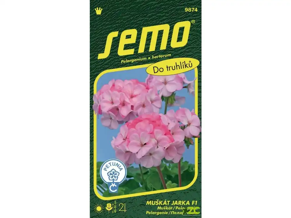 Dokud Zásoby Vydrží Pelargonie páskatá - Jarka F1 11s