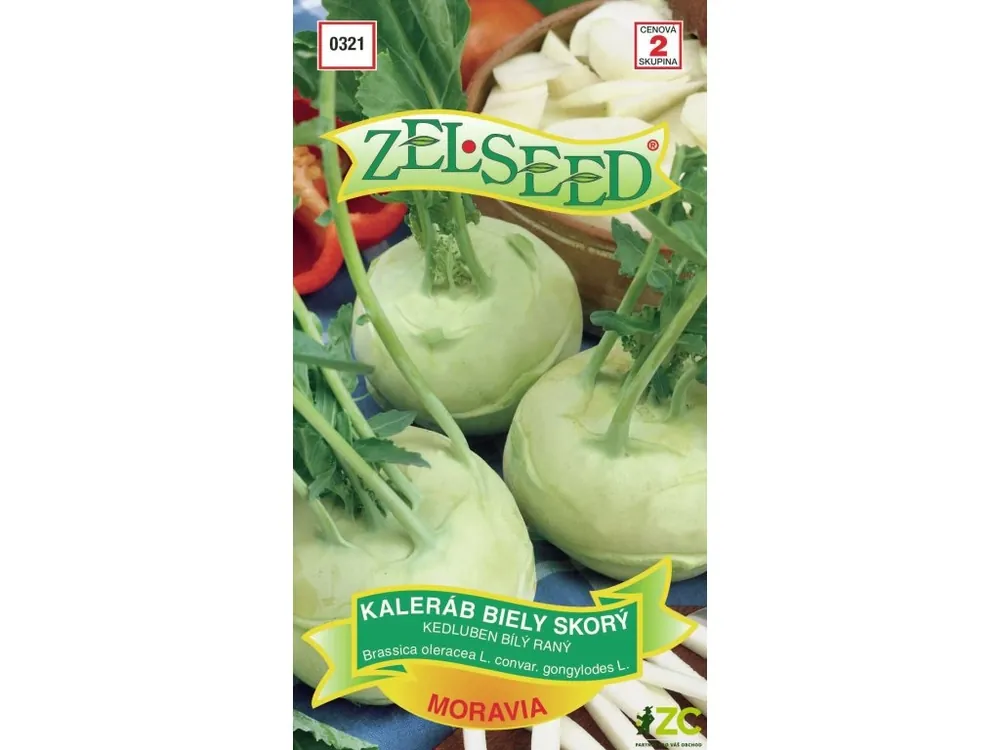 Kedluben bílý - Moravia raný 0,8g - ZELSEED Nejlepší Volba