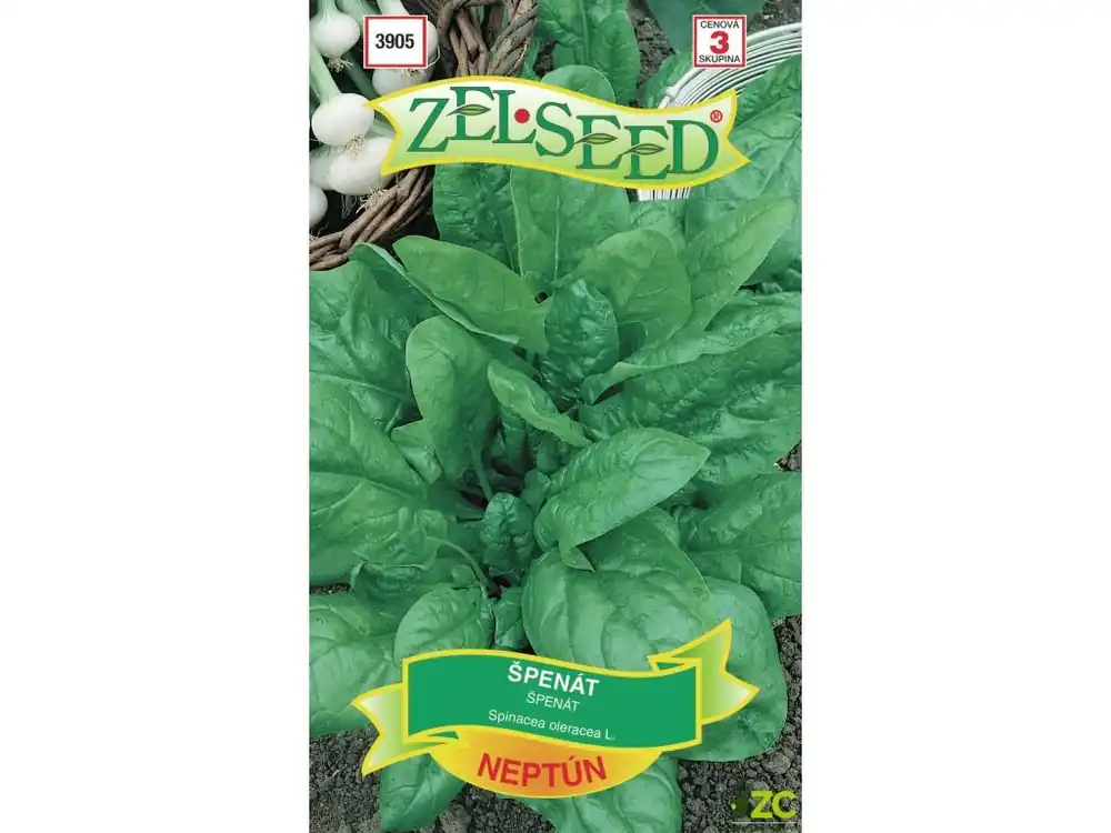 Originální Špenát jarní - Neptun 18g - ZELSEED