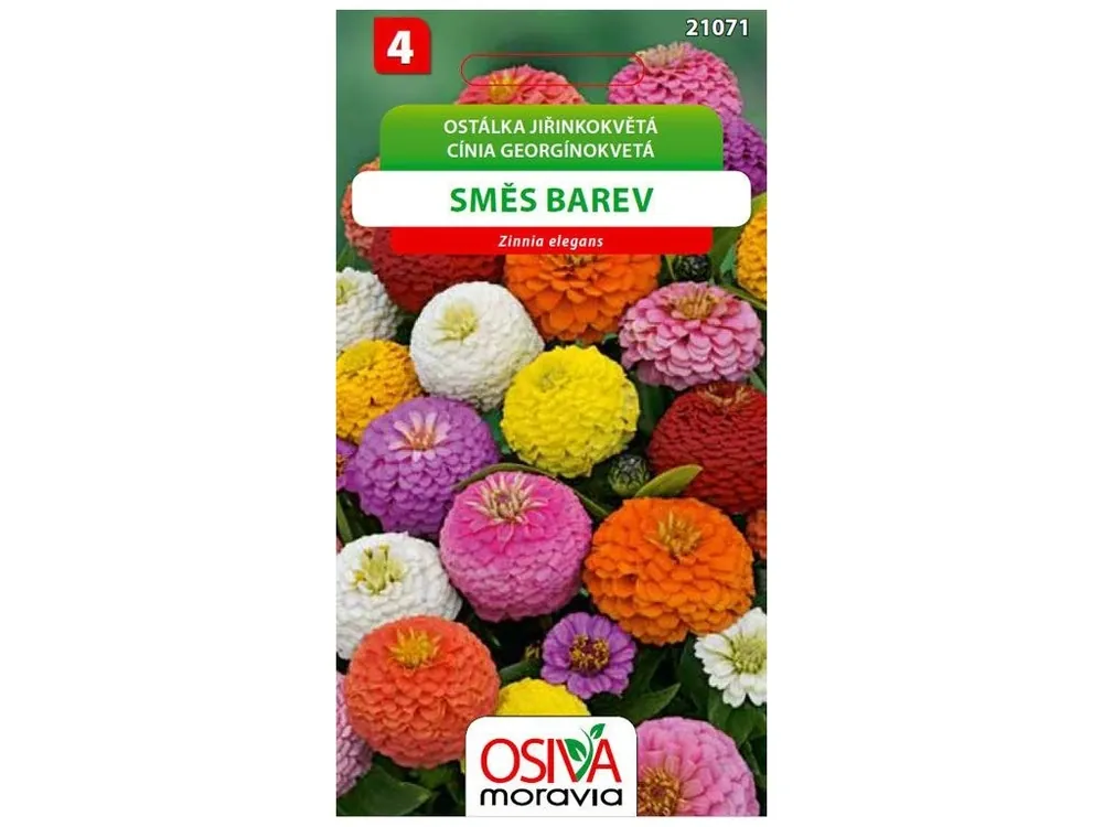 Přímo Od Výrobce Ostálka jiřinkokvětá směs_1 g - OSIVA MORAVIA