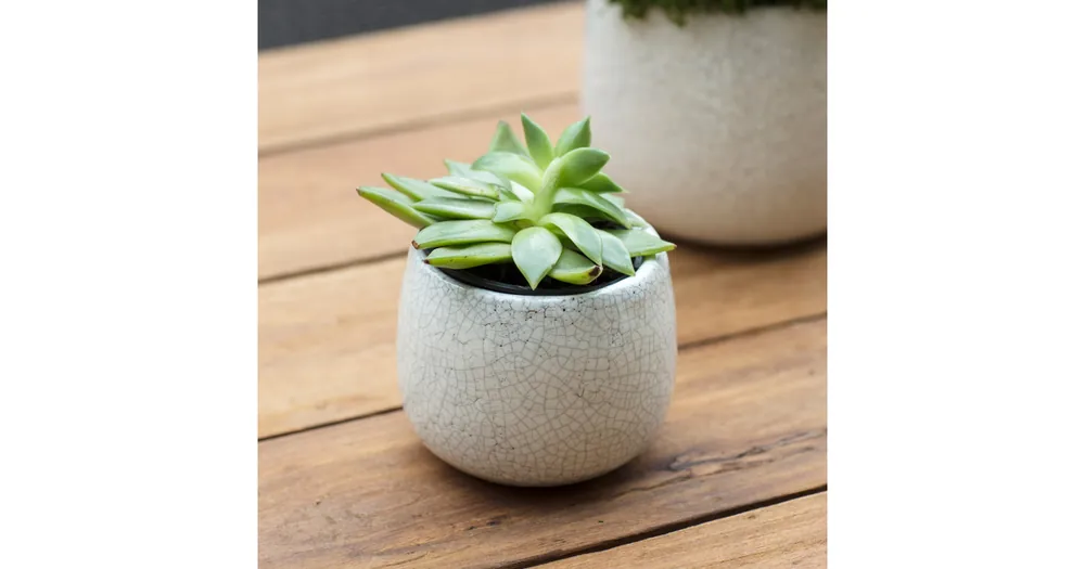 Keramický kvetináč Ravello 11,5 cm Autentický