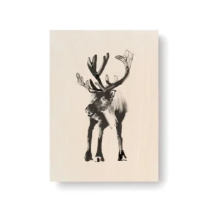 Obrázek na dřevěné kartě Reindeer 10x15 cm Nejprodávanější