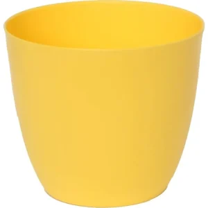 Akční Cena Obal PATRICIE 18 žlutá