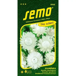 Levný Slaměnka BÍLÁ - velkokvětá