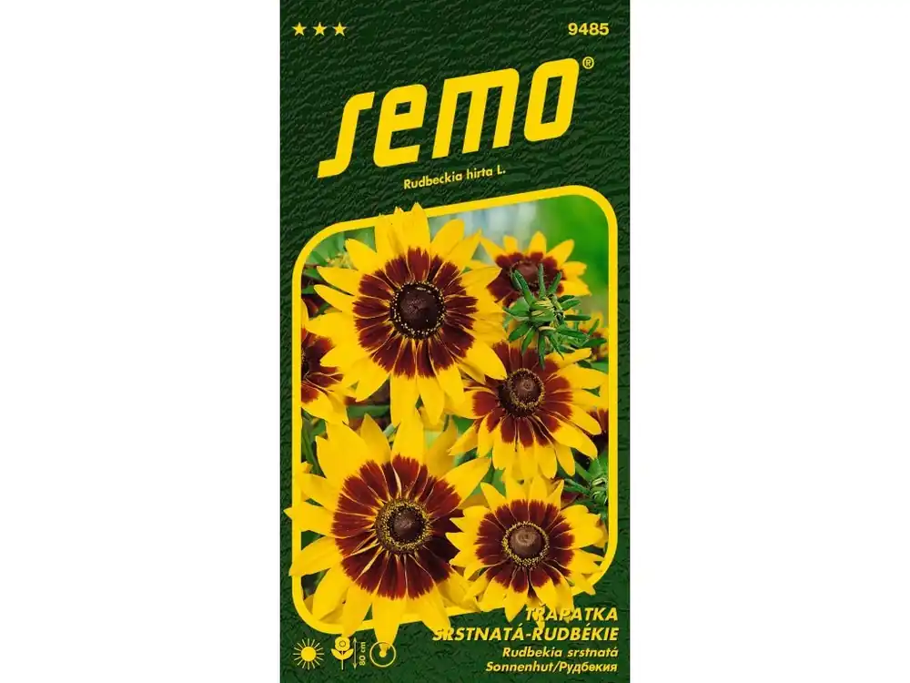 Speciální Cena Třapatka srstnatá - rudbekie GLORIA DAISY - 90 cm, k řezu