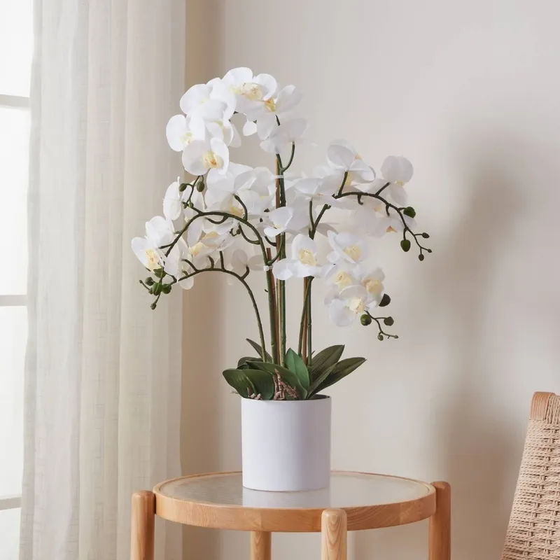 Poslední Šance Eglo - Umělá rostlina v květináči 65x50 cm orchidej
