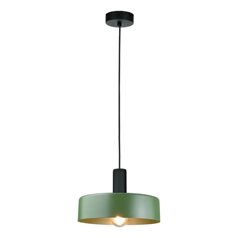 Expresní Doručení Lustr na lanku HAKI 1xE27/60W/230V zelená/černá