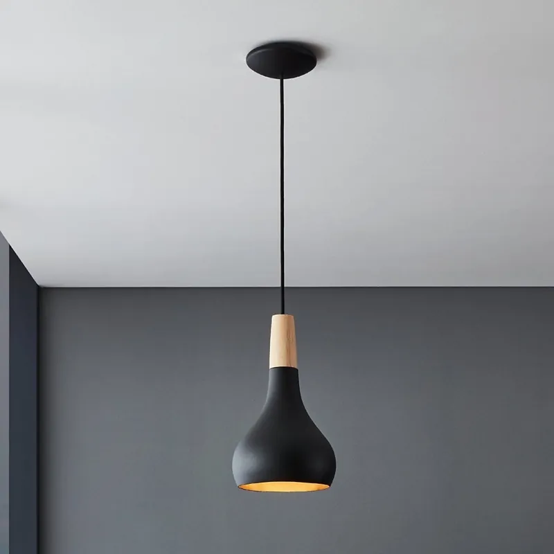 Kup Teď Eglo - Lustr na lanku 1xE27/40W/230V pr. 18 cm černá