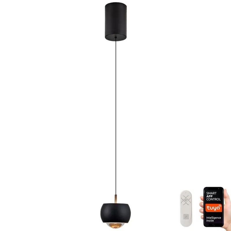 Immax NEO 07219L - LED Stmívatelný lustr na lanku DORMINE LED/6W/230V matná černá Tuya + dálkové ovládání Poslední Šance