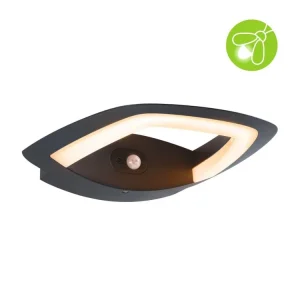 Akce LED venkovní nástěnné svítidlo Akena pohybové čidlo neláká hmyz IP44 243x254mm 2200K 10,8W 230V antracit hliník - PAULMANN