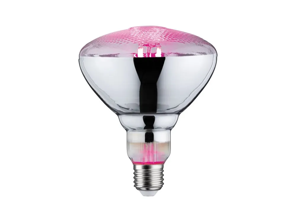 Nejlepší Cena LED Grow Green reflektor lampa pro rostliny 6,5 W E27 na růst rostlin - PAULMANN