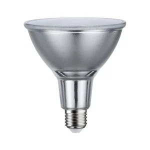 Hit Sezóny LED reflektor E27 230V 13,8W 3000K stříbrná - PAULMANN