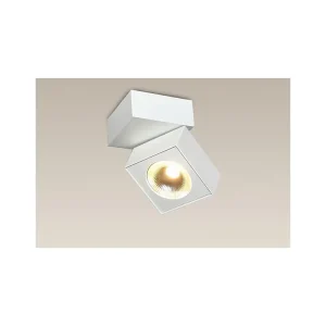 Ověřený Bodové LED svítidlo MAXlight ARTU C0106