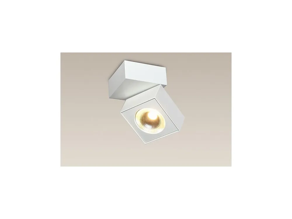 Ověřený Bodové LED svítidlo MAXlight ARTU C0106